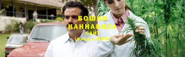 прущие грибы Дмитров