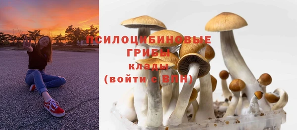соль курить ск Дмитровск
