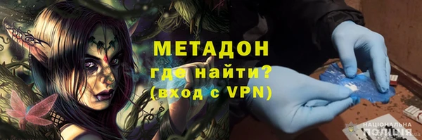 прущие грибы Дмитров
