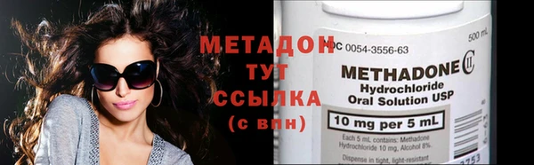 прущие грибы Дмитров