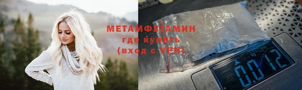 прущие грибы Дмитров