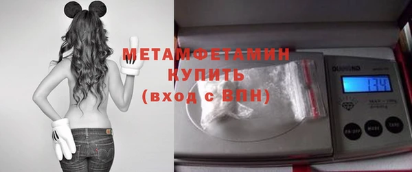 прущие грибы Дмитров