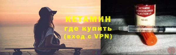 прущие грибы Дмитров