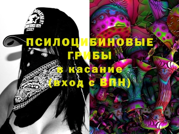 прущие грибы Дмитров