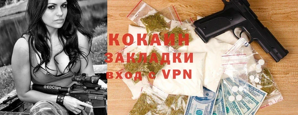прущие грибы Дмитров