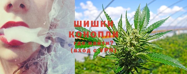 прущие грибы Дмитров