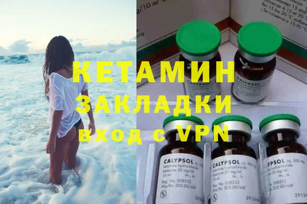 прущие грибы Дмитров
