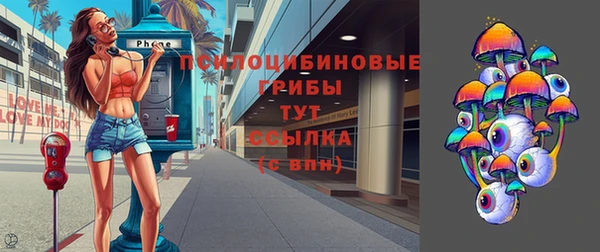 соль курить ск Дмитровск