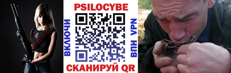 Купить  Бахчисарай  Псилоцибиновые грибы мицелий 